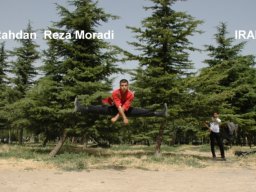 55_Reza_Moradi