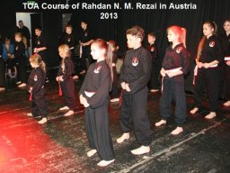 40_toa_in_austria_2013